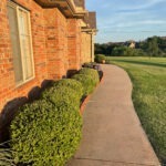 trimmed hedges outside of home