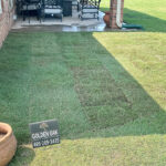example of newly sodded back yard